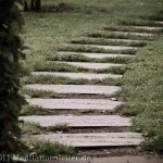 Der Weg Der Weg