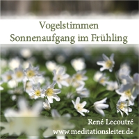 Vogelstimmen Sonnenaufgang im Frühling